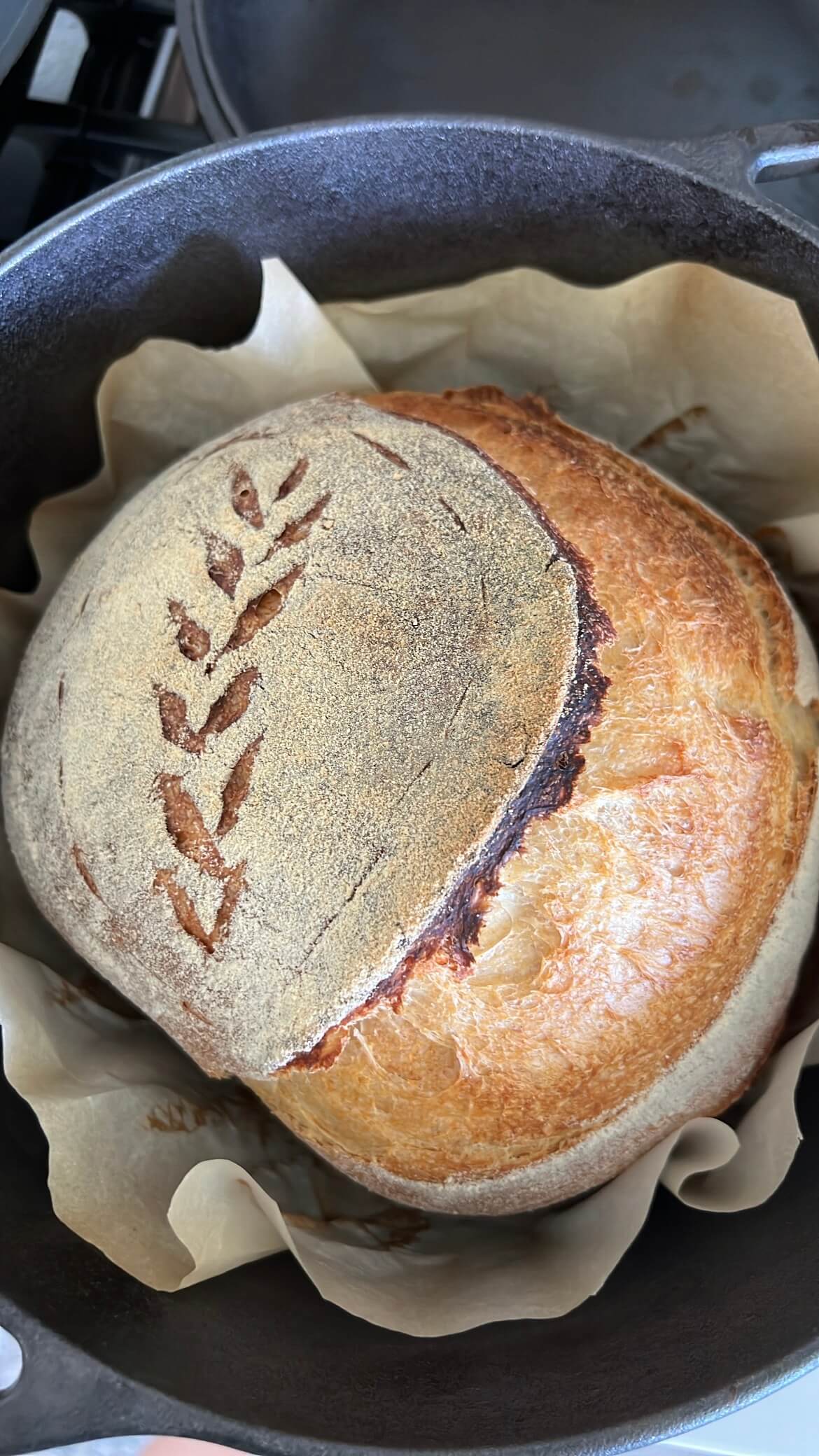 sourdough bread - M Loves M @marmar