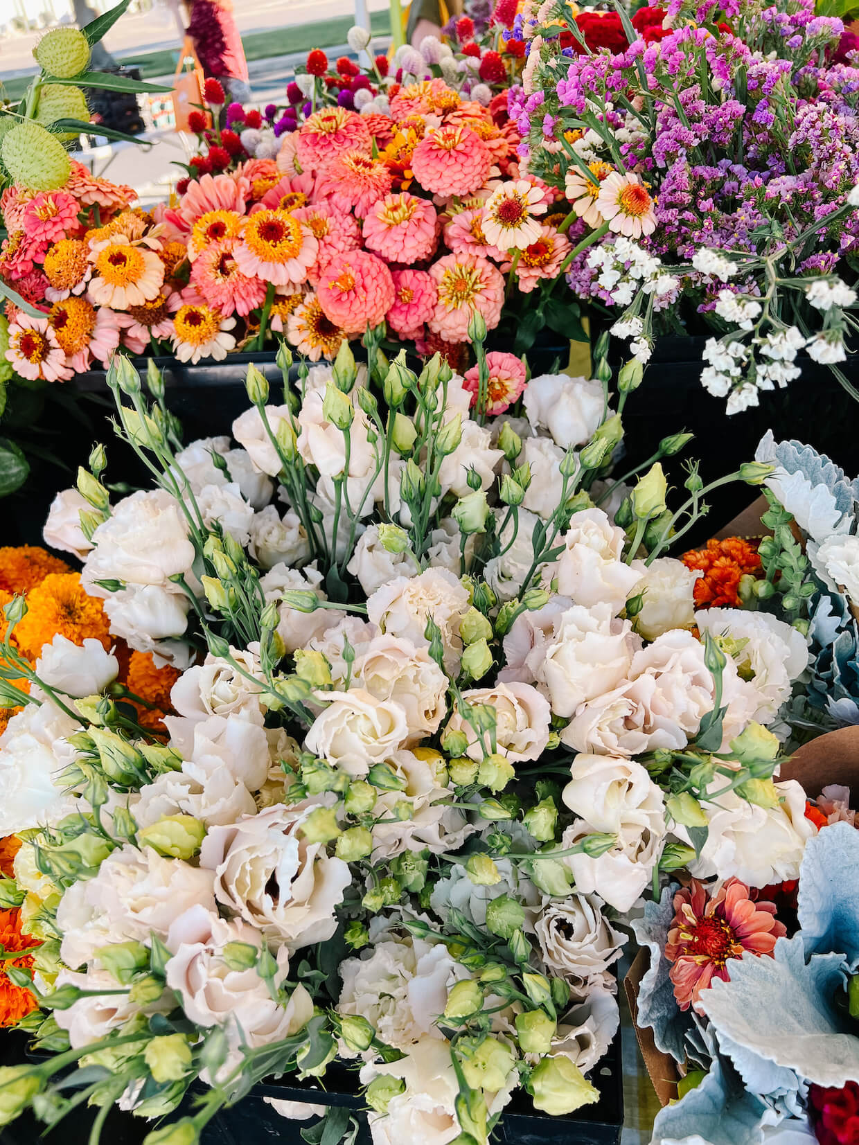 farmers market flowers in boise, idaho - M Loves M @marmar